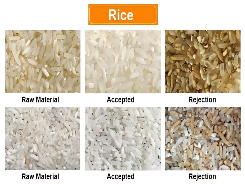 Selezionatrice per colore del riso con prezzo di fabbrica economico