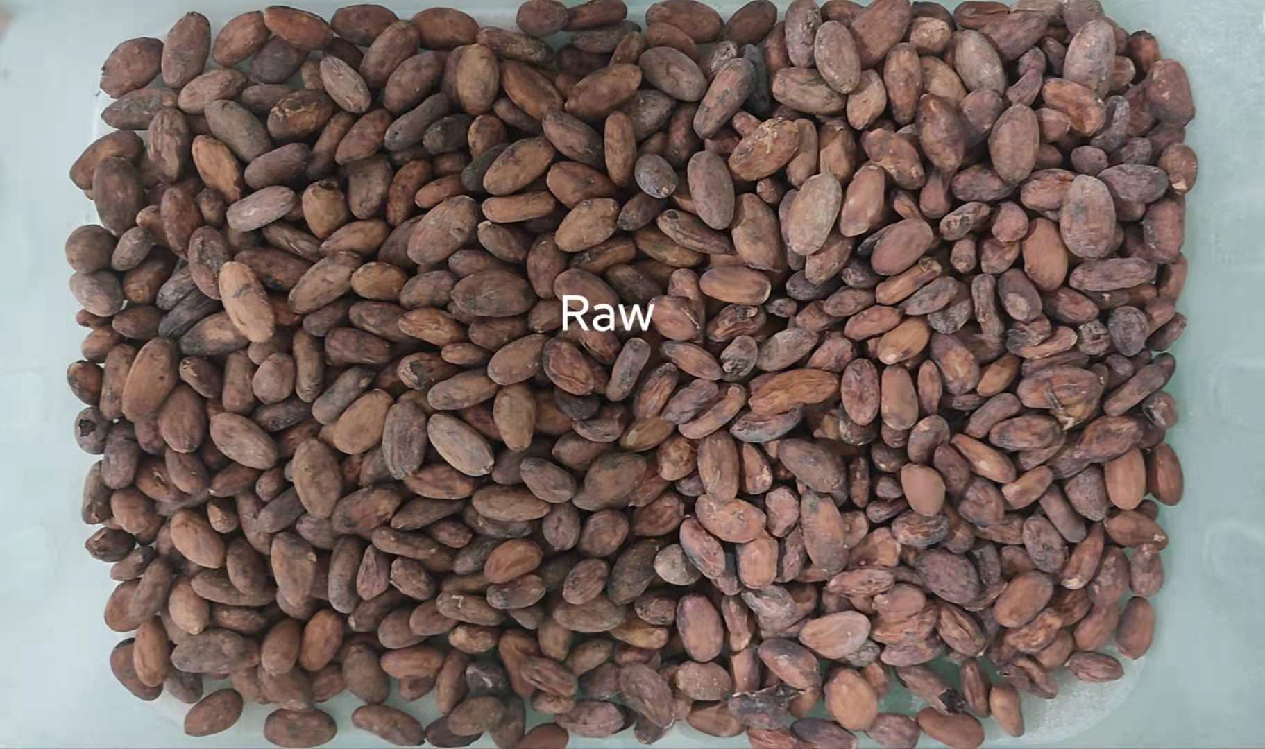 cocoa bean color sorter