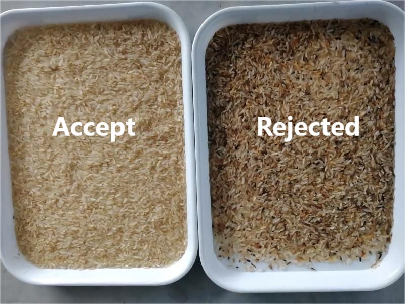 Caso cliente della selezionatrice del colore del riso in Tanzania