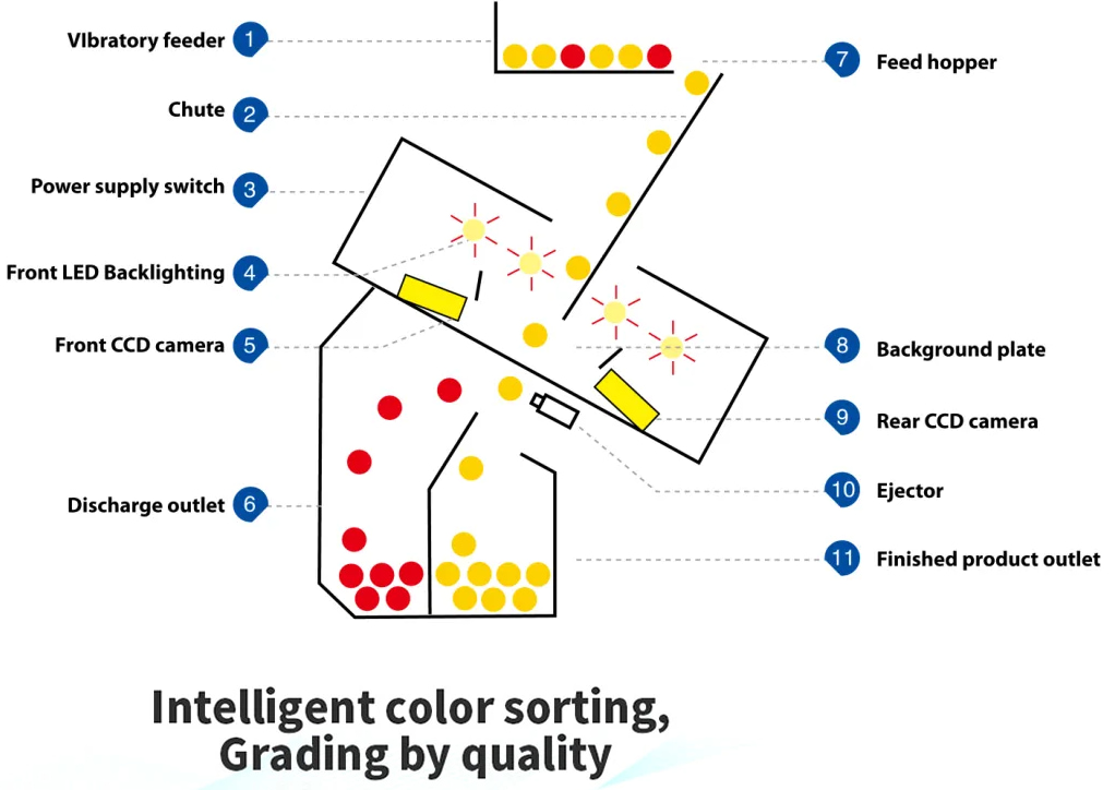 colour sorting machine working principle