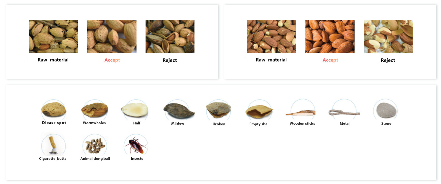 Almond color sorting solution