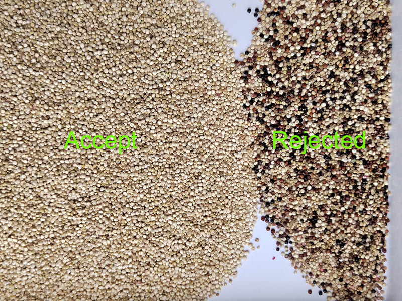 Selezionatrice di colore della quinoa ad alta precisione di selezione