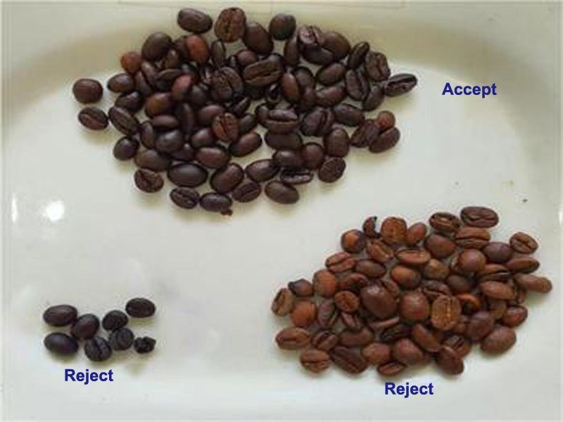 coffee bean color sorting machine for sale