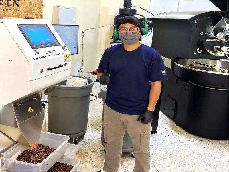 Smistamento dei chicchi di caffè tostato negli Emirati Arabi Uniti