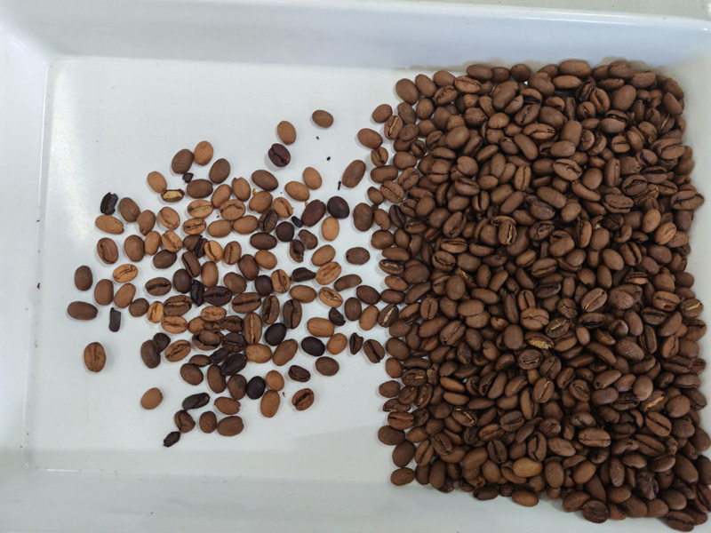 Video della selezionatrice a colori Topsort Mini Coffee Bean dalla caffetteria del cliente