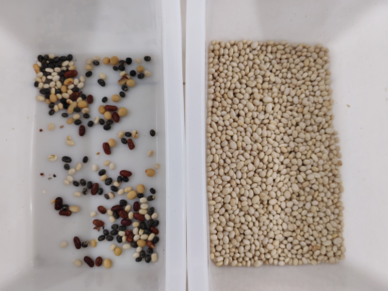 Mini selezionatrice per colore TOPSORT per fagioli bianchi con prestazioni eccellenti
