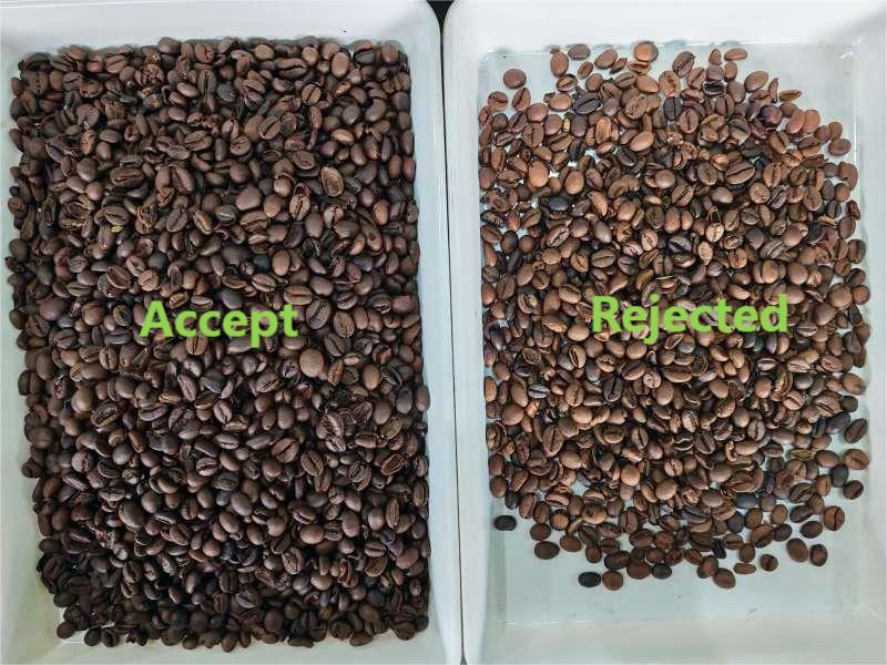 Selezionatrice per colore TOPSORT MINI che seleziona i chicchi di caffè presso il sito del cliente in Ucraina