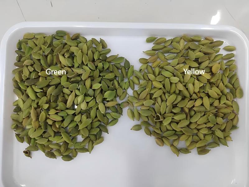 Selezionatrice per colore del cardamomo Topsort con prestazioni eccellenti