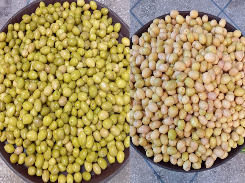 Selezionatrice impermeabile TOPSORT per il colore delle olive dal sito del cliente
