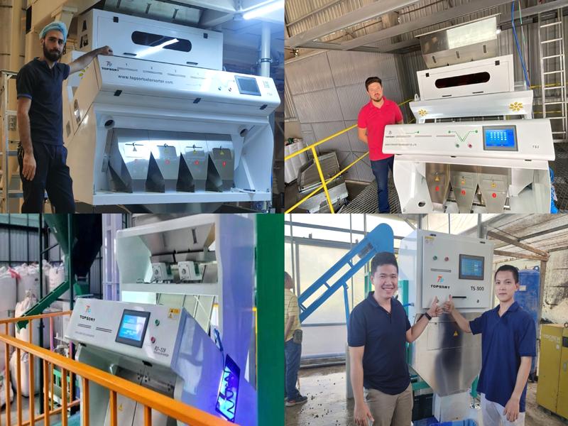 color sorter project