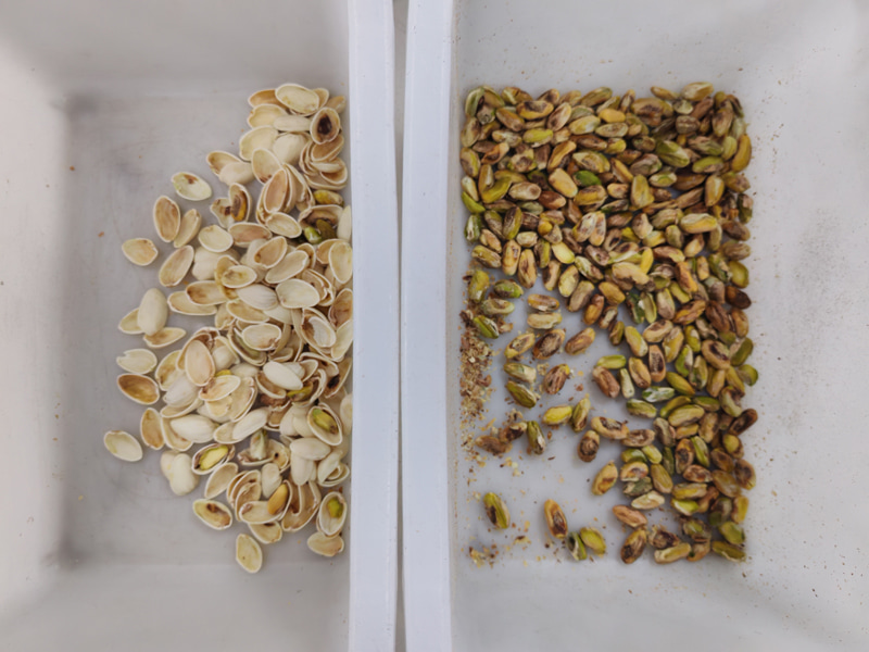 Macchina selezionatrice per colore pistacchio Topsort Super Mini