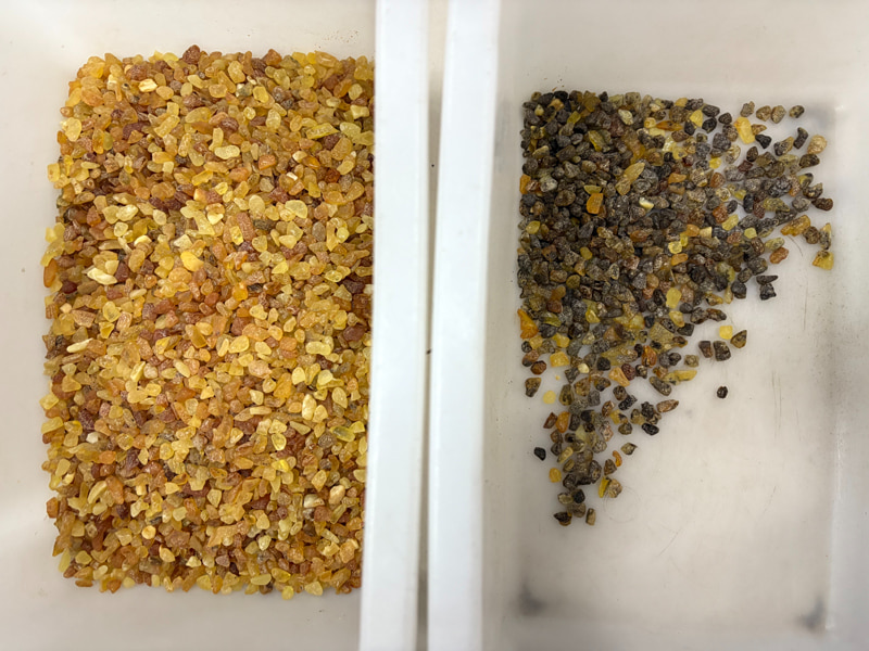 Selezionatrice di colore ambra TOPSORT MINI