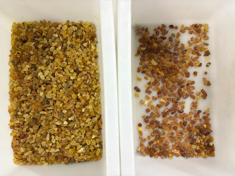 Selezionatrice di colore ambrato di piccole dimensioni TOPSORT