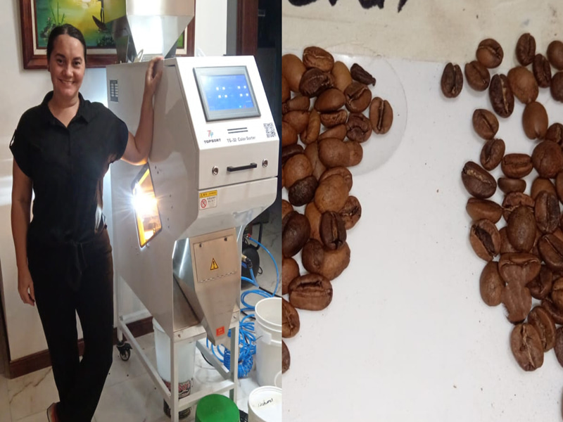 Topsort mini color sorter sorting roasted coffee beans in South America with pretty good performance