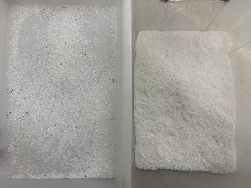 TOPSORT selezionatrice di colori AI ad alta precisione per fiocchi di cocco