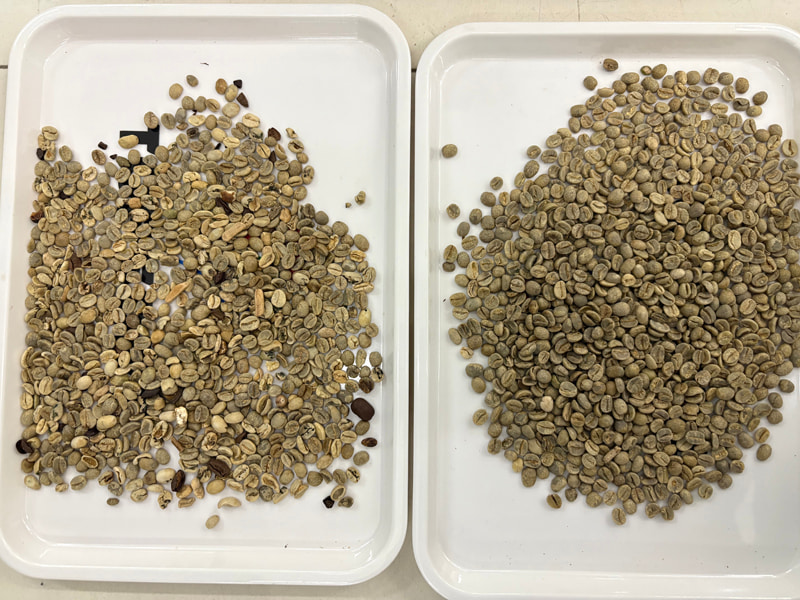 TOPSORT coffee bean AI color sorter with new deep learning technology