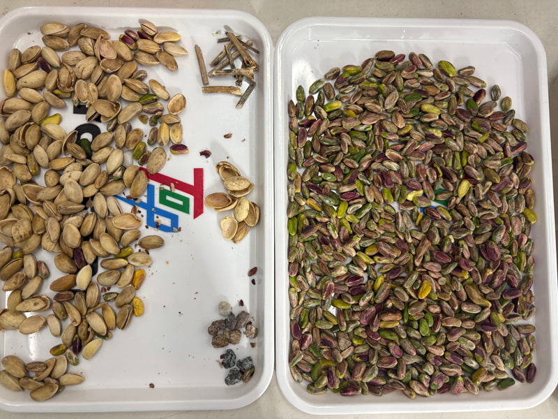 TOPSORT, selezionatore di pistacchi basato sull'intelligenza artificiale e sui più recenti algoritmi di deep learning.