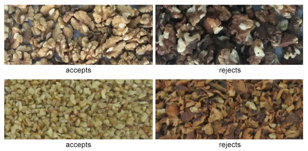 AI walnut color sorter